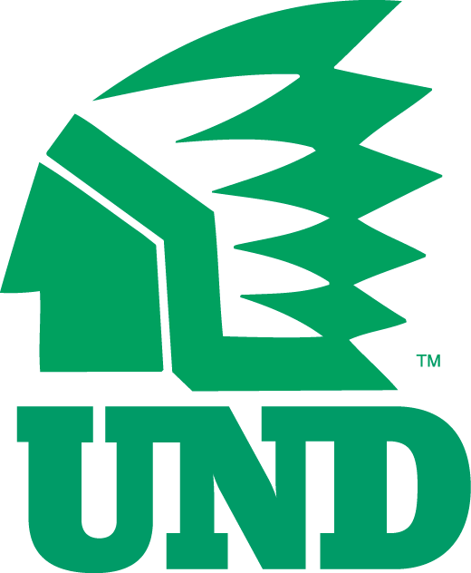 North Dakota Fighting Hawks 1976-1999 Alternate Logo diy iron on heat transfer